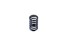 MTEC Clutch Spring