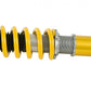Ohlins Road and Track Coilovers Nissan Skyline GT-R R33 | R34 1995-2002